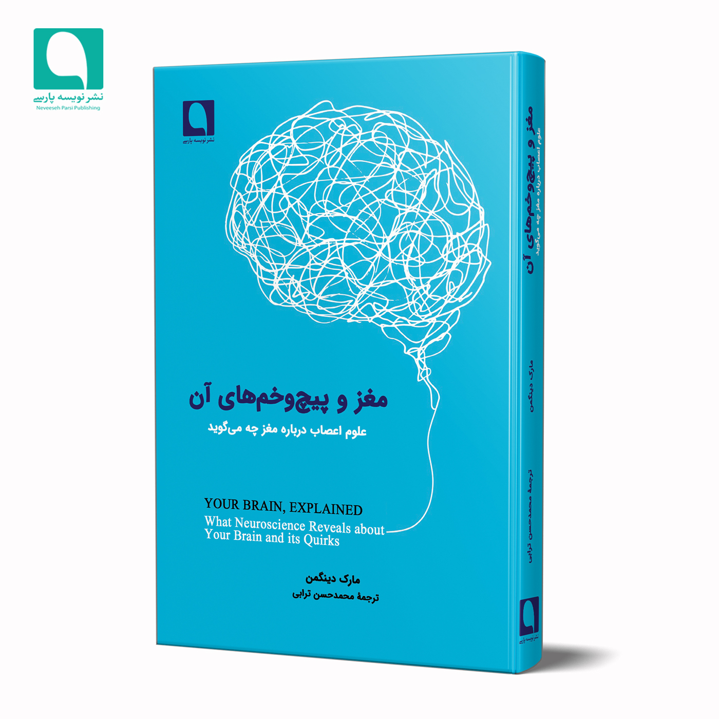 مغز و پیچ‌وخم‌های آن 